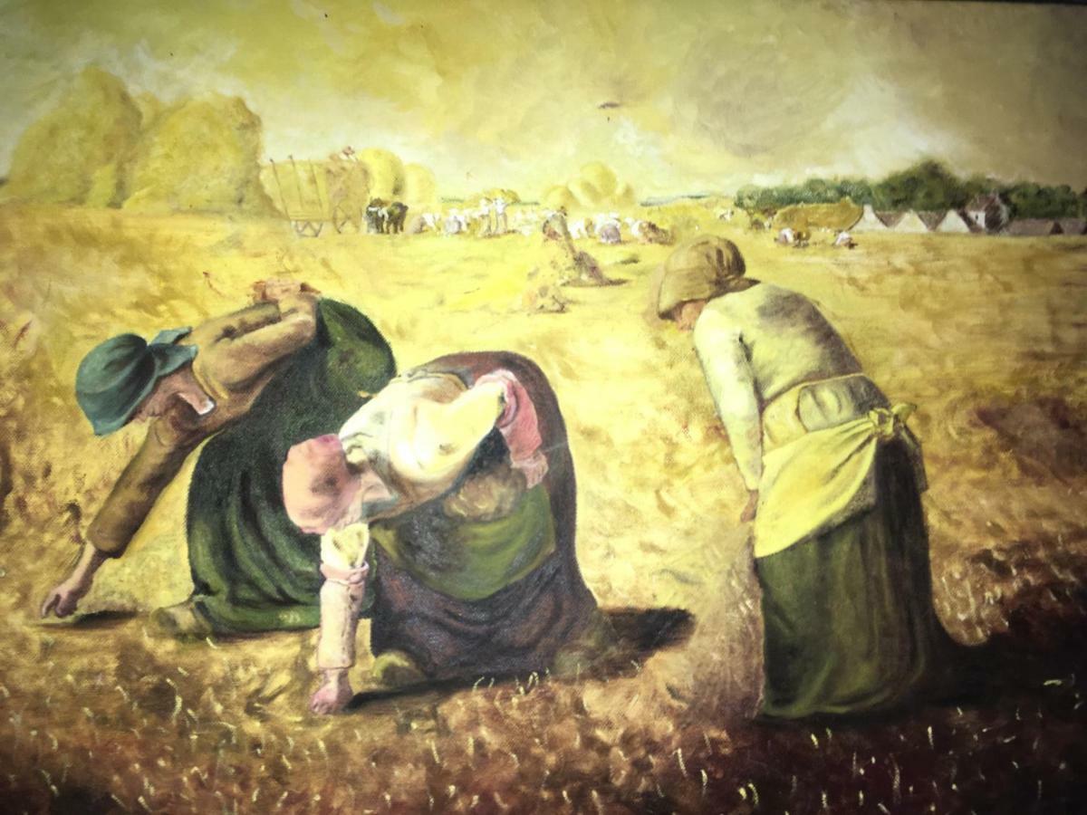 بيت شباب O Lagar De Jesus Padrón المظهر الخارجي الصورة